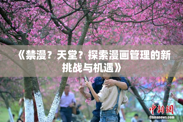 《禁漫？天堂？探索漫画管理的新挑战与机遇》