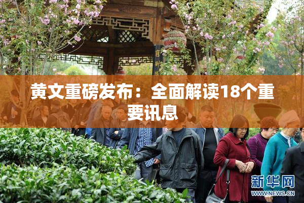 黄文重磅发布：全面解读18个重要讯息