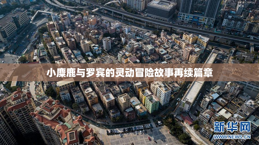 小麋鹿与罗宾的灵动冒险故事再续篇章