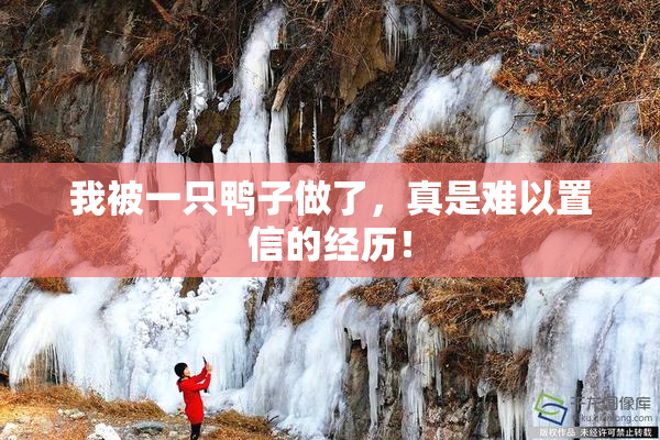 我被一只鸭子做了，真是难以置信的经历！
