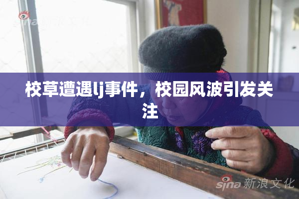校草遭遇lj事件，校园风波引发关注