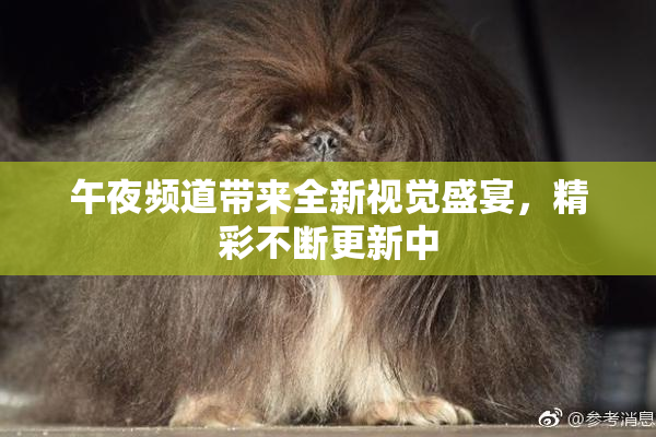 午夜频道带来全新视觉盛宴，精彩不断更新中