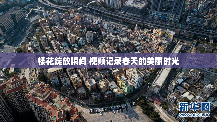 樱花绽放瞬间 视频记录春天的美丽时光