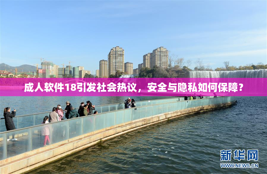 成人软件18引发社会热议，安全与隐私如何保障？