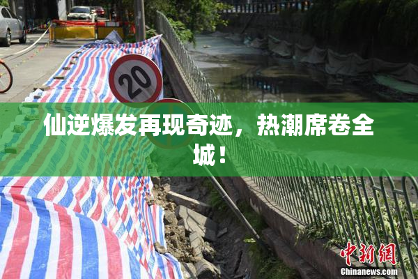 仙逆爆发再现奇迹，热潮席卷全城！