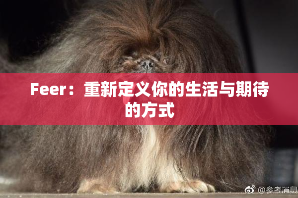Feer：重新定义你的生活与期待的方式