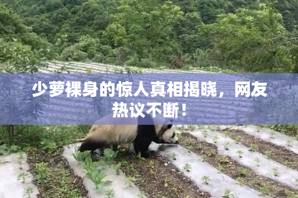 少萝裸身的惊人真相揭晓，网友热议不断！