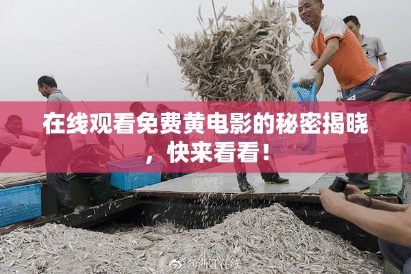 在线观看免费黄电影的秘密揭晓，快来看看！