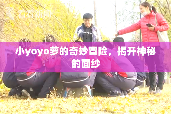 小yoyo萝的奇妙冒险，揭开神秘的面纱