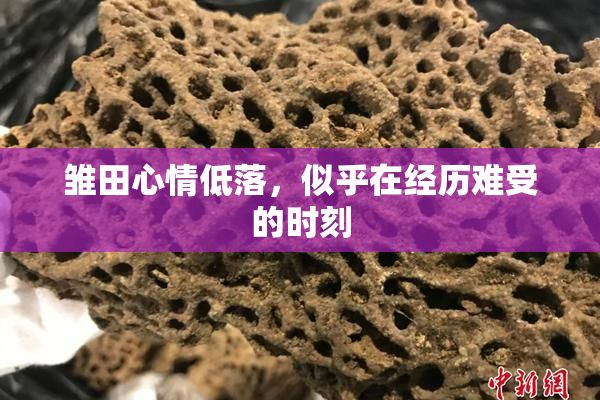 雏田心情低落，似乎在经历难受的时刻