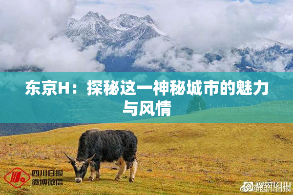 东京H：探秘这一神秘城市的魅力与风情