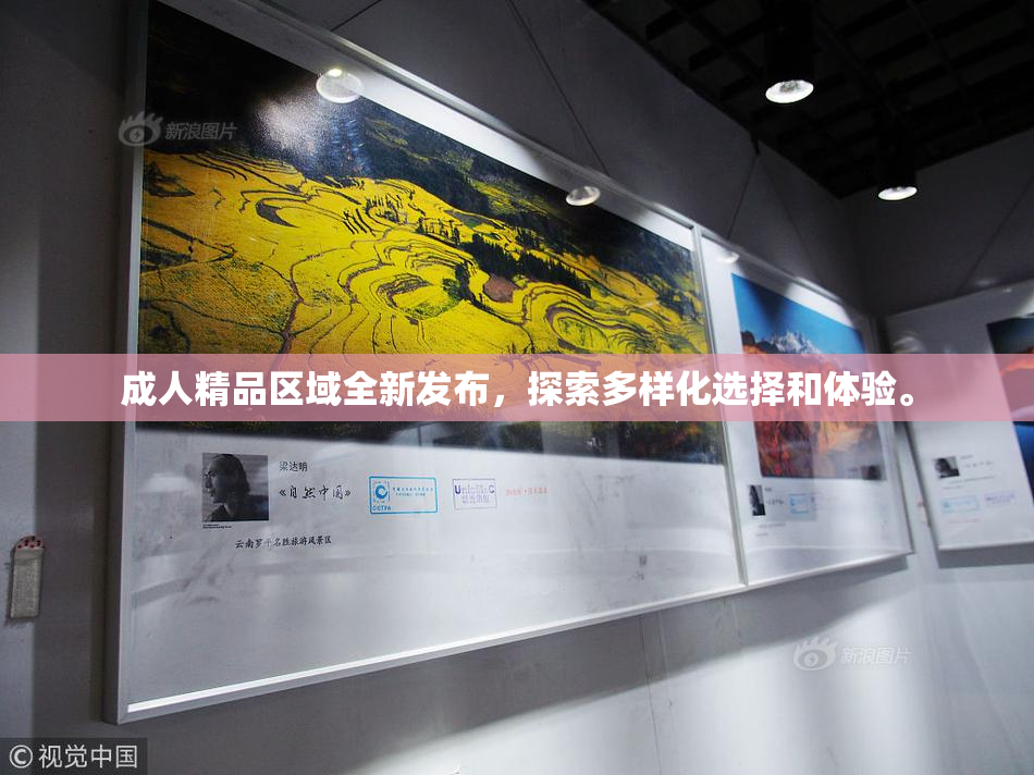 成人精品区域全新发布，探索多样化选择和体验。
