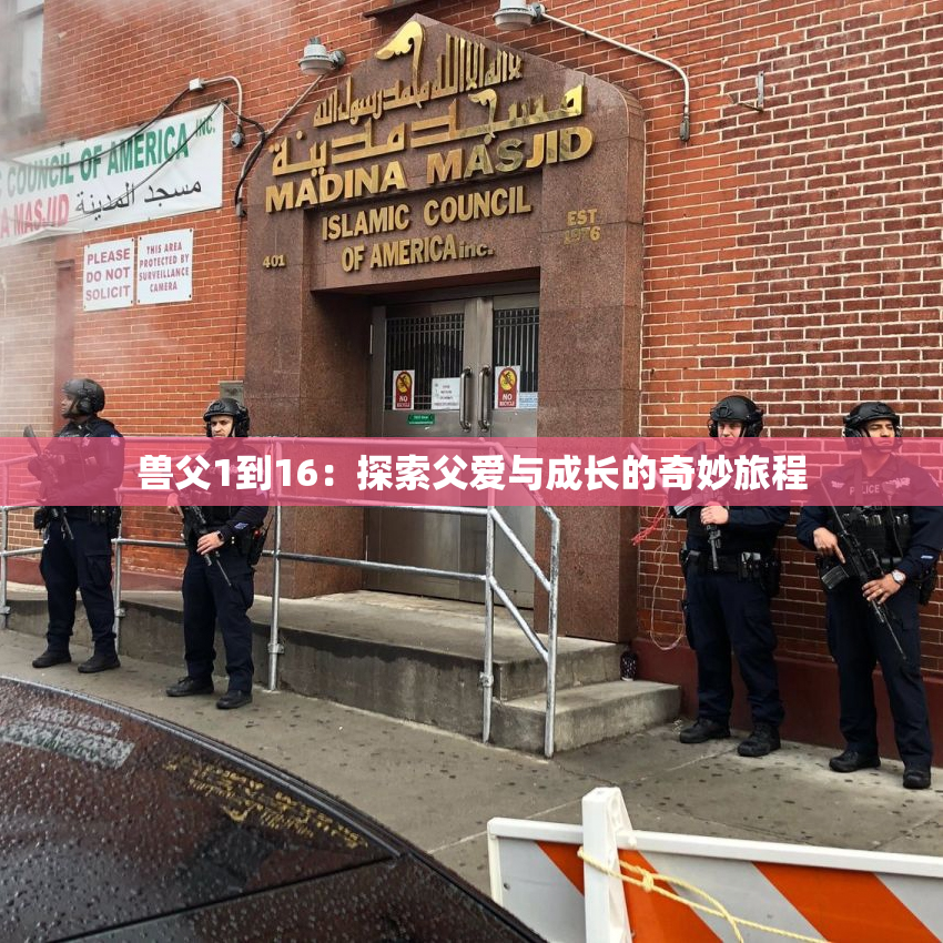 兽父1到16：探索父爱与成长的奇妙旅程