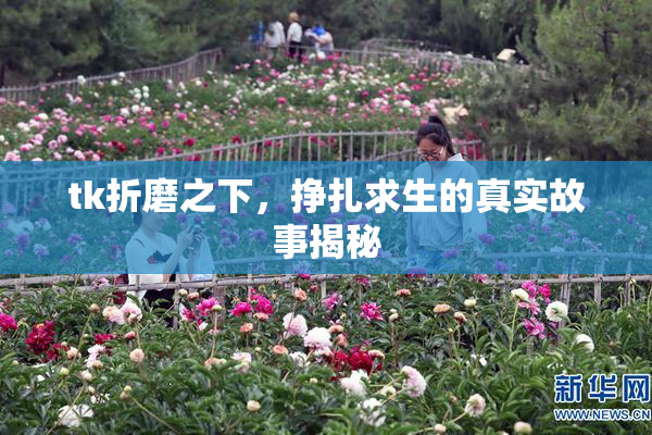 tk折磨之下，挣扎求生的真实故事揭秘