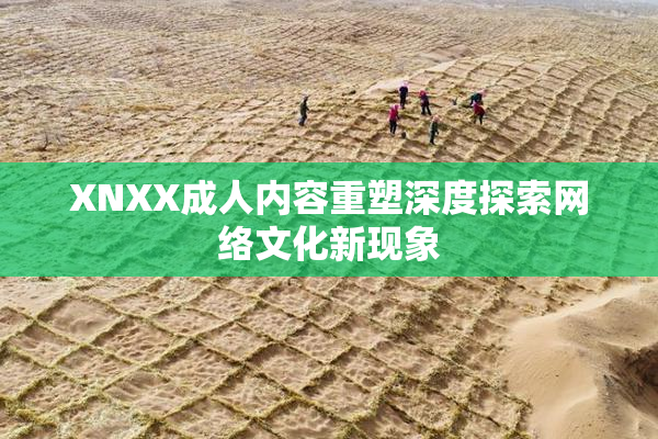 XNXX成人内容重塑深度探索网络文化新现象