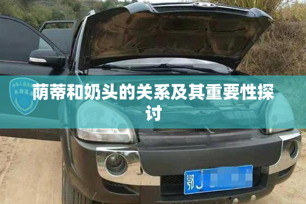 荫蒂和奶头的关系及其重要性探讨