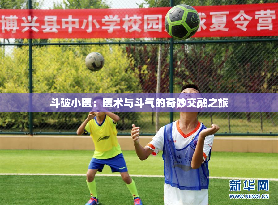 斗破小医：医术与斗气的奇妙交融之旅