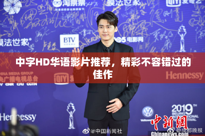 中字HD华语影片推荐，精彩不容错过的佳作
