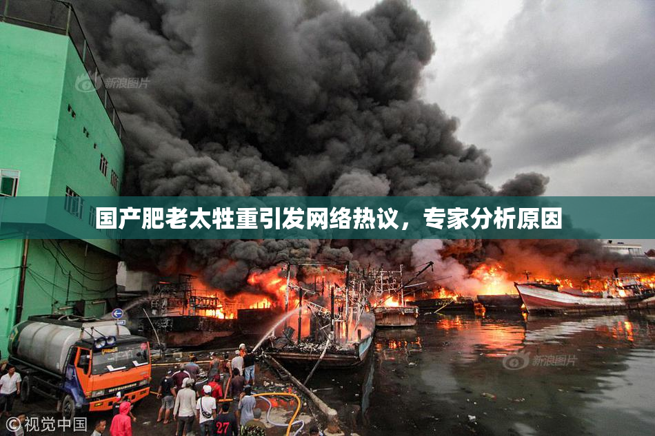 国产肥老太牲重引发网络热议，专家分析原因