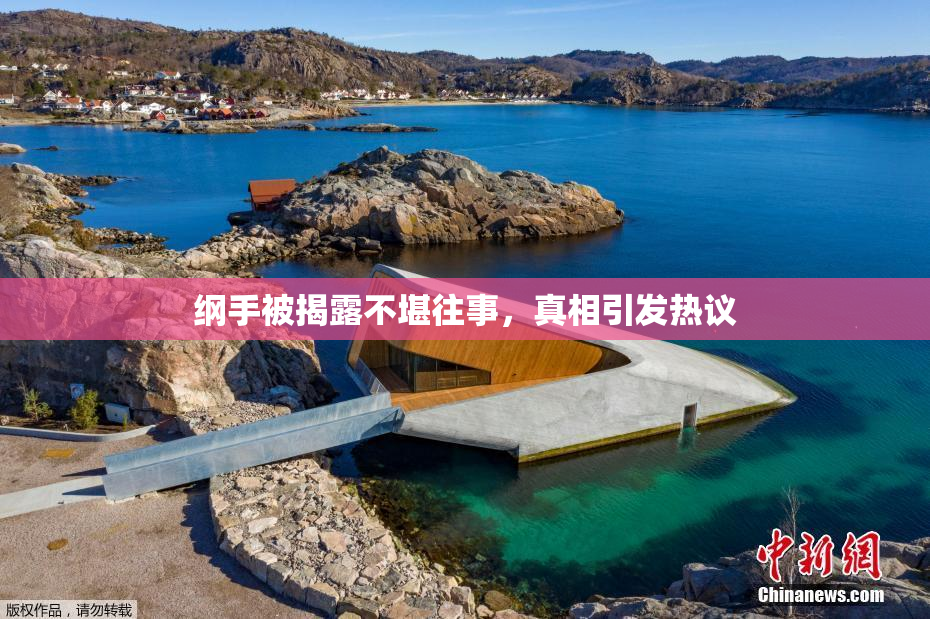 纲手被揭露不堪往事，真相引发热议