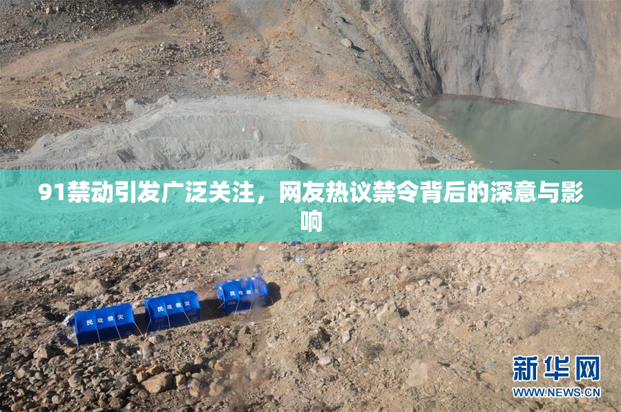 91禁动引发广泛关注，网友热议禁令背后的深意与影响