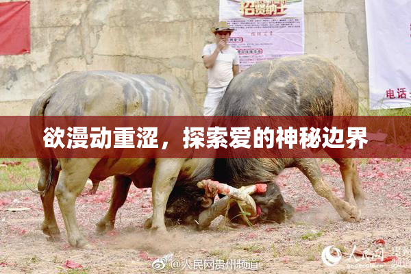 欲漫动重涩，探索爱的神秘边界