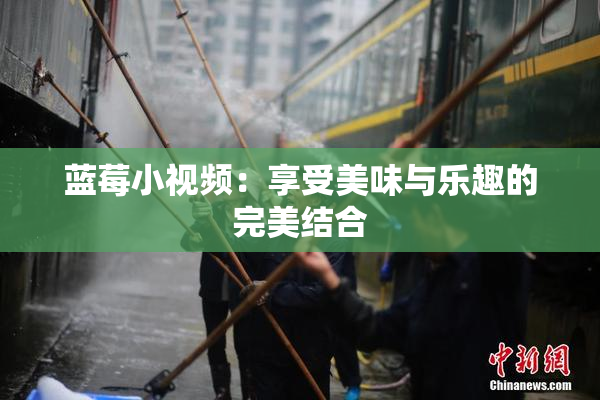 蓝莓小视频：享受美味与乐趣的完美结合