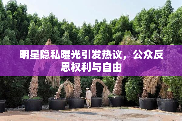 明星隐私曝光引发热议，公众反思权利与自由