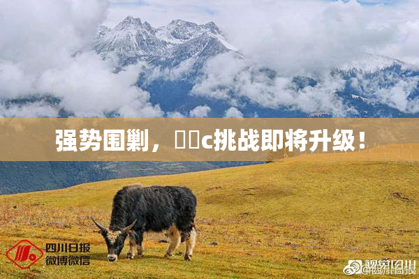 强势围剿，❌‌c挑战即将升级！