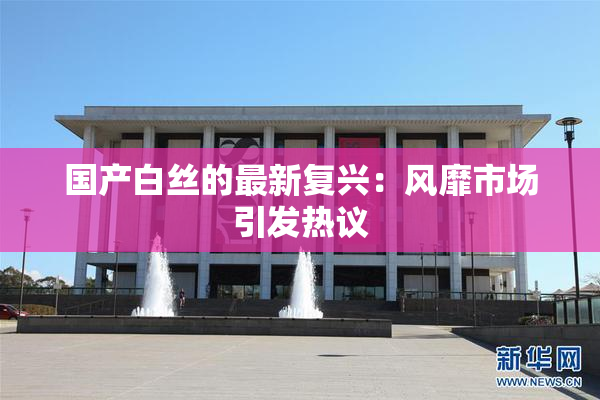 国产白丝的最新复兴：风靡市场引发热议