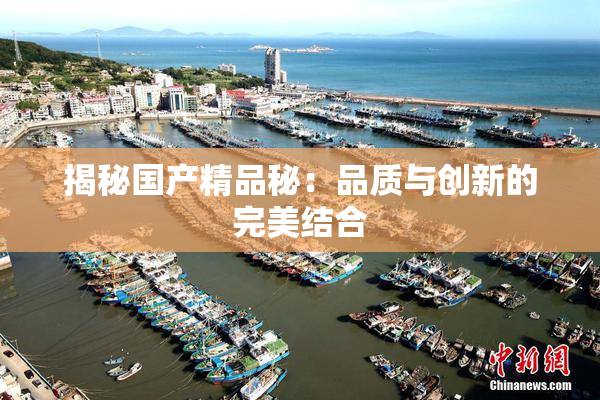 揭秘国产精品秘：品质与创新的完美结合