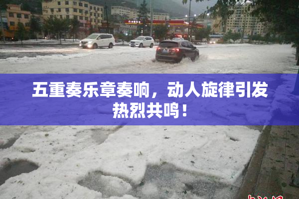 五重奏乐章奏响，动人旋律引发热烈共鸣！