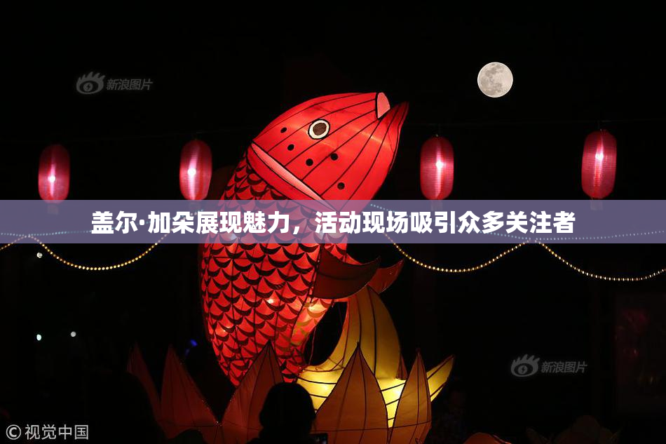 盖尔·加朵展现魅力，活动现场吸引众多关注者