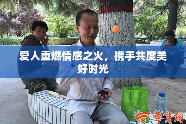 爱人重燃情感之火，携手共度美好时光