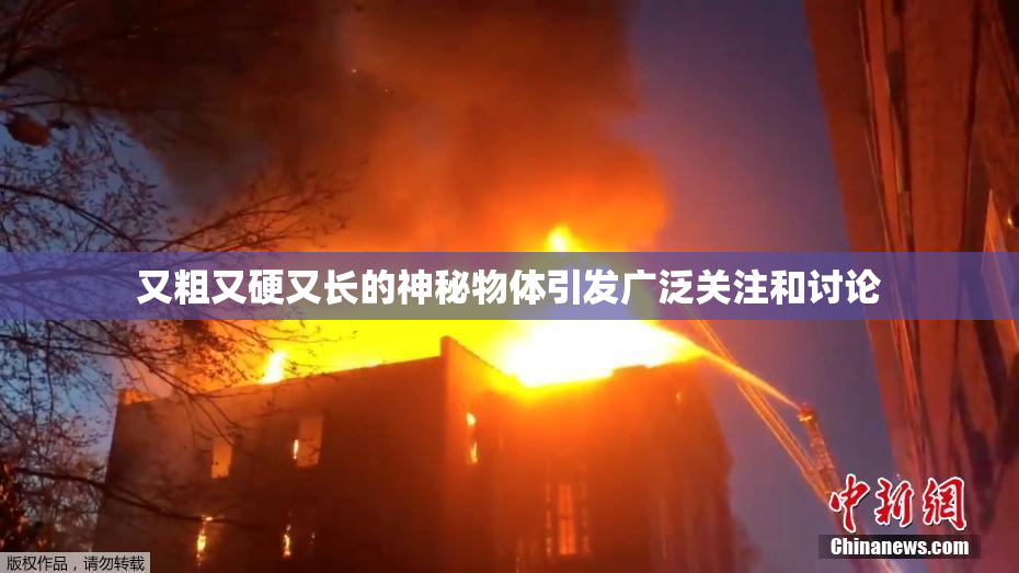 又粗又硬又长的神秘物体引发广泛关注和讨论