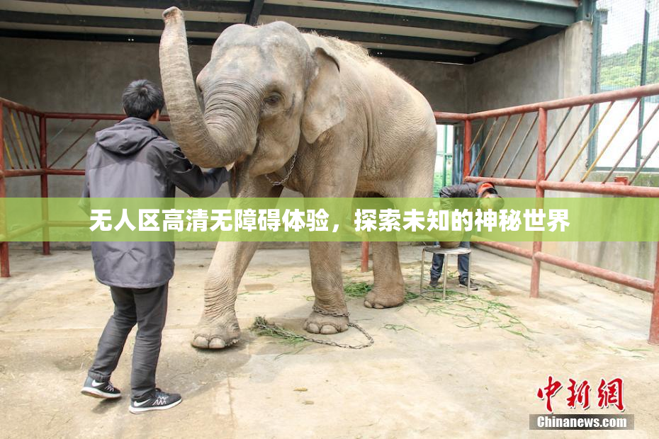 无人区高清无障碍体验，探索未知的神秘世界