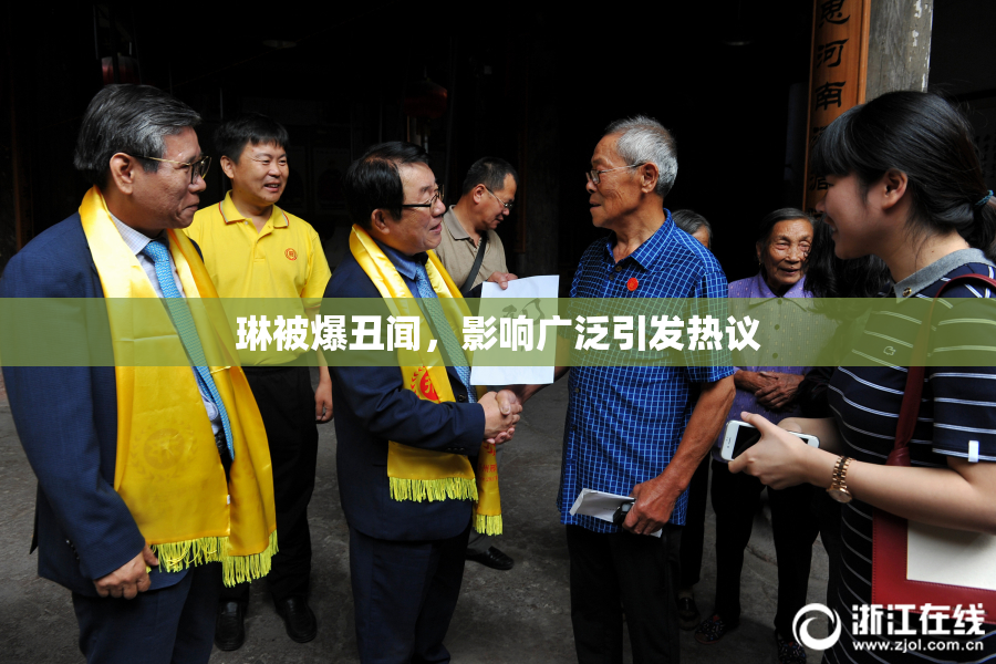 琳被爆丑闻，影响广泛引发热议