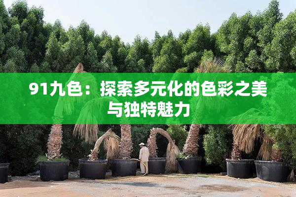 91九色：探索多元化的色彩之美与独特魅力