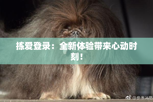 拣爱登录：全新体验带来心动时刻！