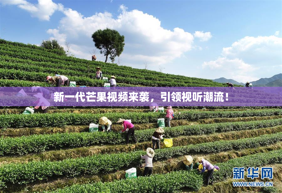 新一代芒果视频来袭，引领视听潮流！
