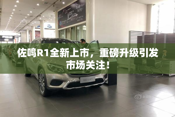 佐鸣R1全新上市，重磅升级引发市场关注！