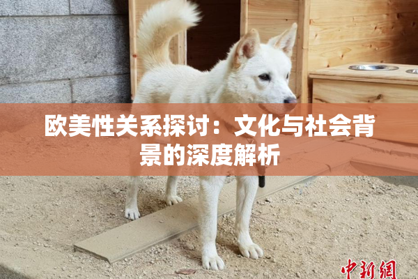 欧美性关系探讨：文化与社会背景的深度解析