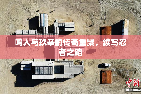 鸣人与玖辛的传奇重聚，续写忍者之路