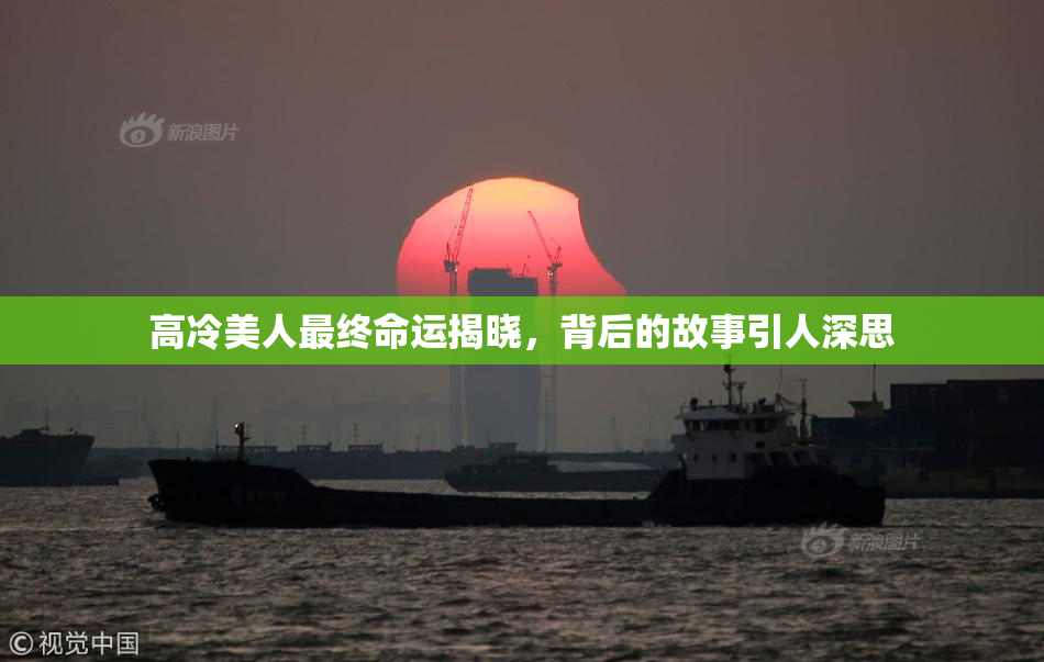高冷美人最终命运揭晓，背后的故事引人深思