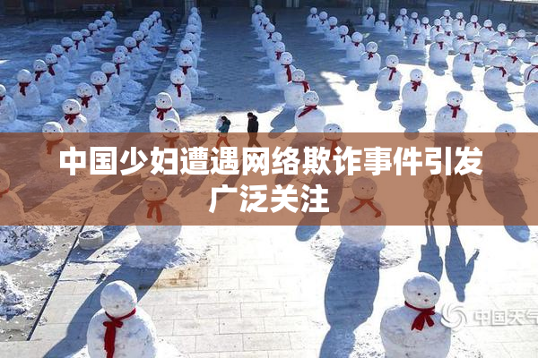 中国少妇遭遇网络欺诈事件引发广泛关注