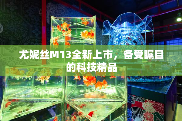 尤妮丝M13全新上市，备受瞩目的科技精品