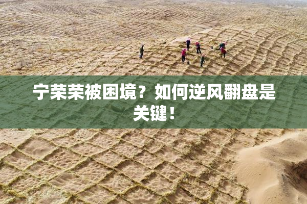 宁荣荣被困境？如何逆风翻盘是关键！