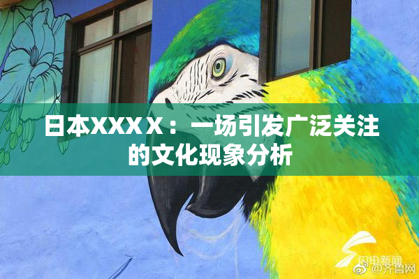 日本XXXⅩ：一场引发广泛关注的文化现象分析
