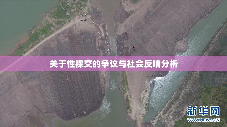 关于性裸交的争议与社会反响分析