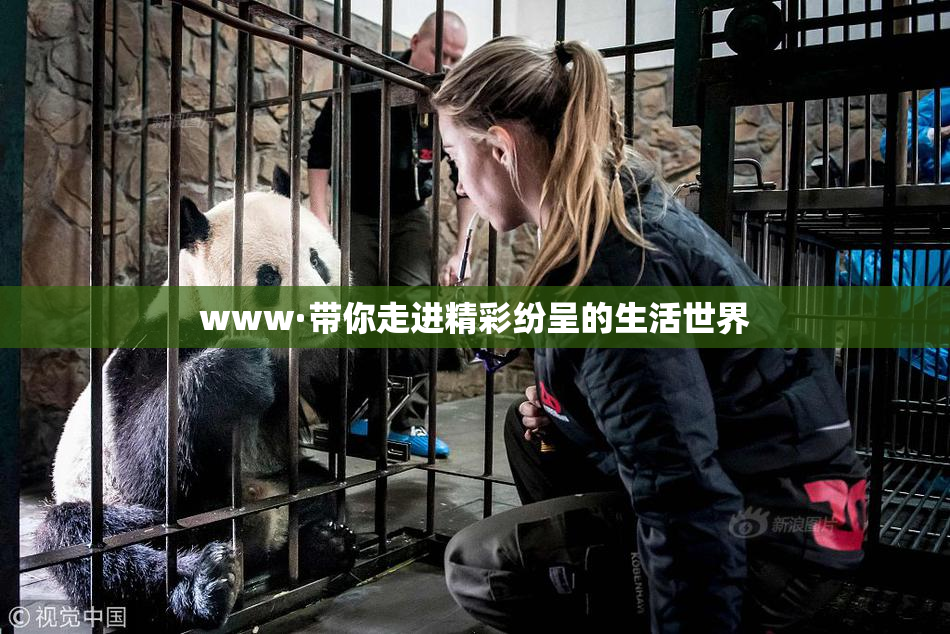 www·带你走进精彩纷呈的生活世界